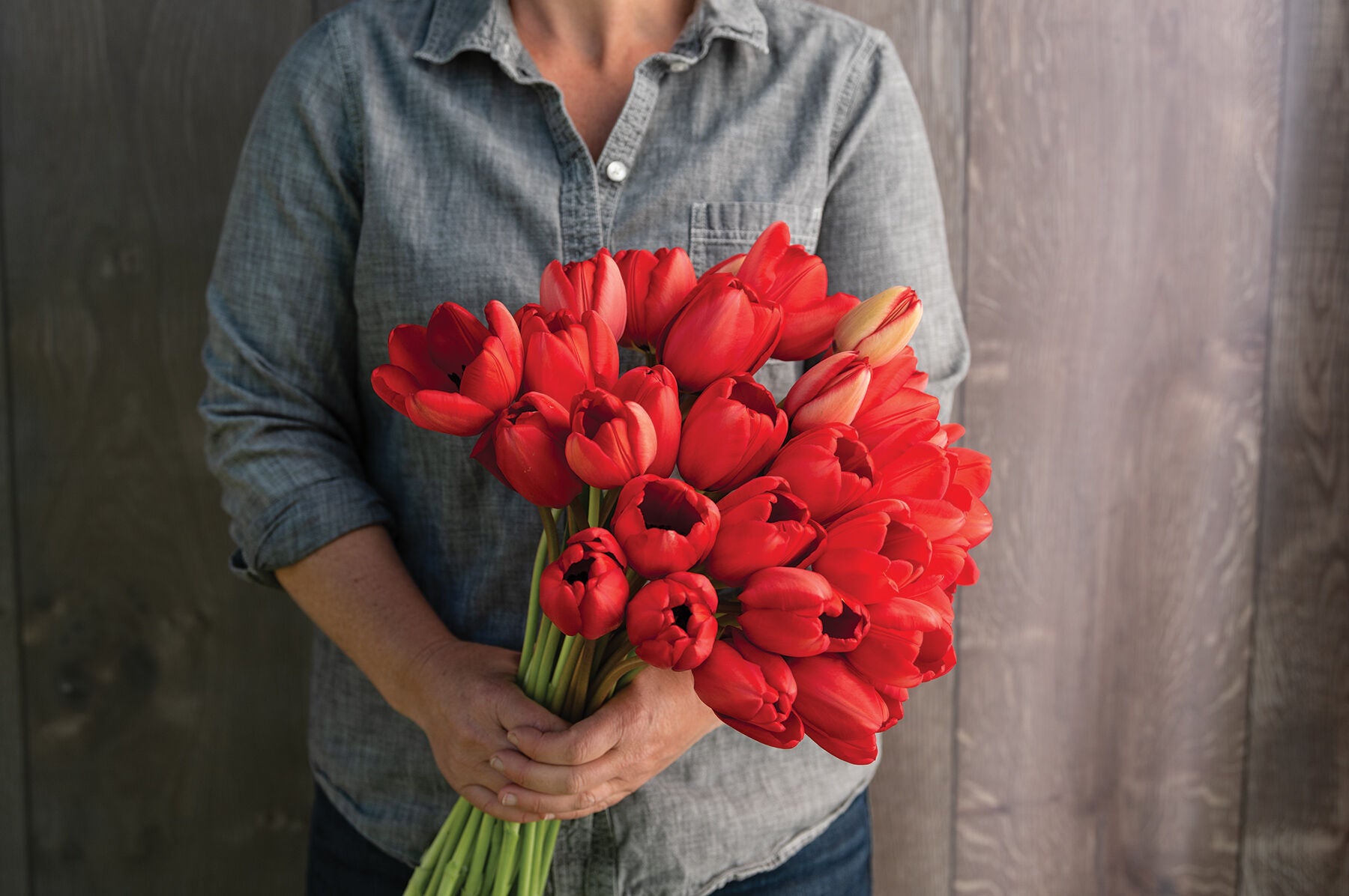 Red Impression – Tulip